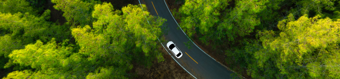 ISO 14001:2015 per il Sistema di Gestione Ambientale