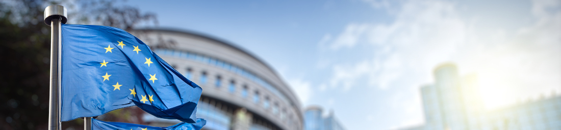 Il nuovo Piano d’Azione Europeo per l’industria dell’auto