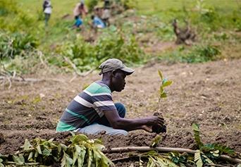 Program, un nuovo anno green insieme a Treedom